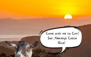 Come with me to Cirri Sur Costa Rica!